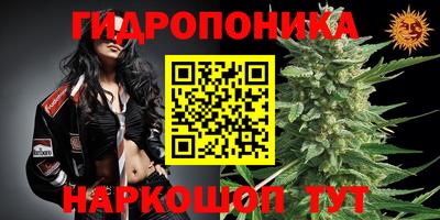 прущие грибы Кулебаки