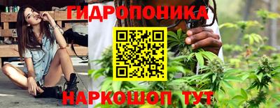 прущие грибы Кулебаки