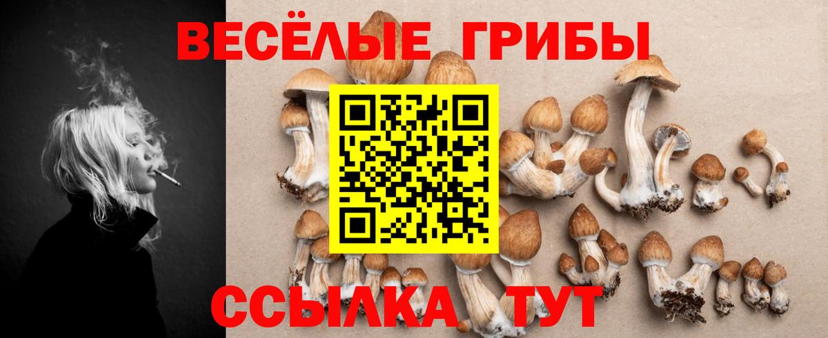 Псилоцибиновые грибы Psilocybe  Псилоцибиновые грибы Cubensis  Вход с VPN  Светлоград 